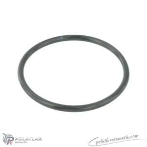 GAZ KELEBEK CONTASI GAZ KELEBEGI CONTASI 63MM X 4MM INCE IBR 11069 8200068566